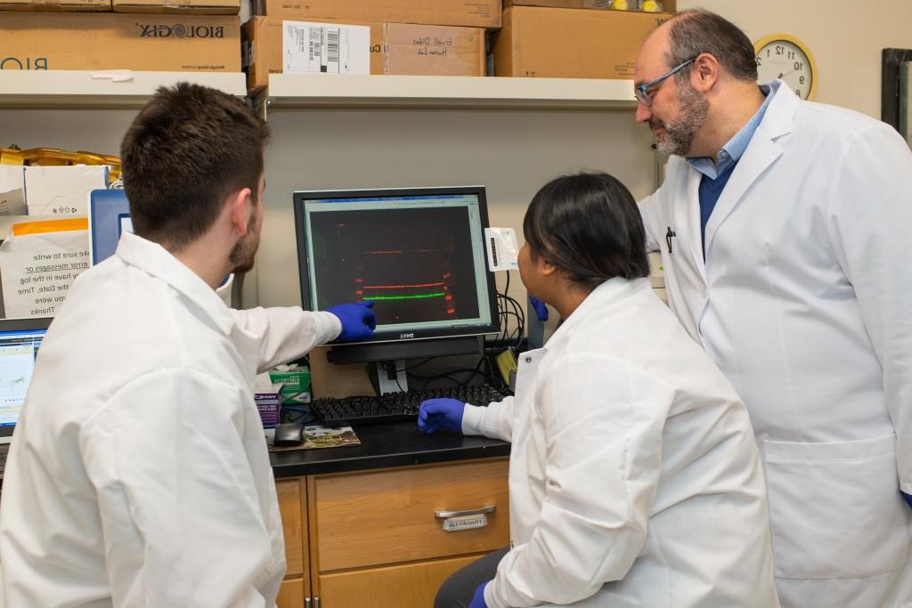 Two research assistants review a monitor with Dr. 哈利Filippakis